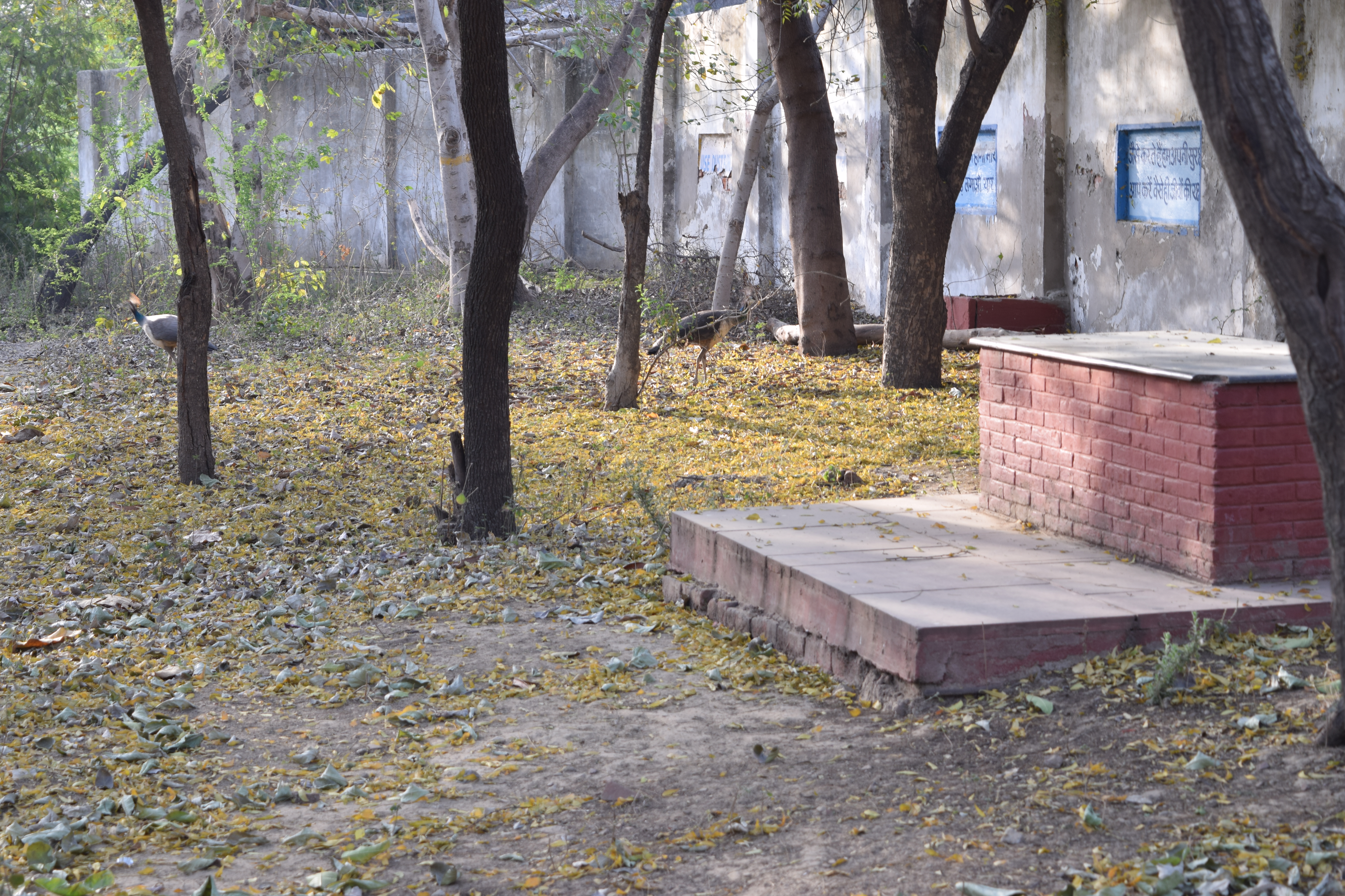 Prakrati- Nurture the nature