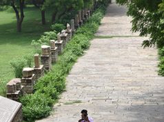 Rohit Sikarwar- Creating magic through photography