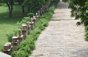 Rohit Sikarwar- Creating magic through photography